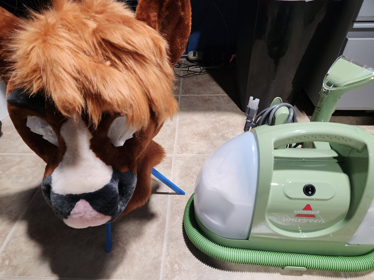 EllyNebbie's tweet photo. Finally gave this horse a bath... no stinky horse in this stable https://t.co/P7VhTvDUYX