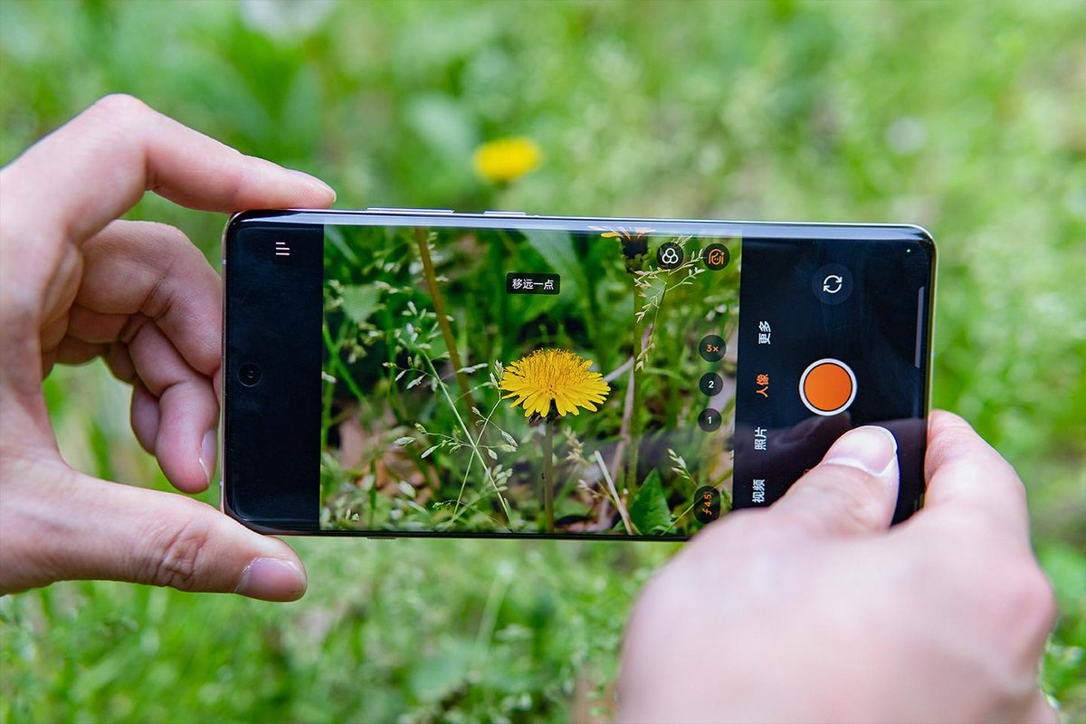 KMSPOOL's tweet photo. New to photography Start with mastering your phone camera’s grid u0026 natural light—game-changing for clear, sharp shots! https://t.co/UKIububiXl