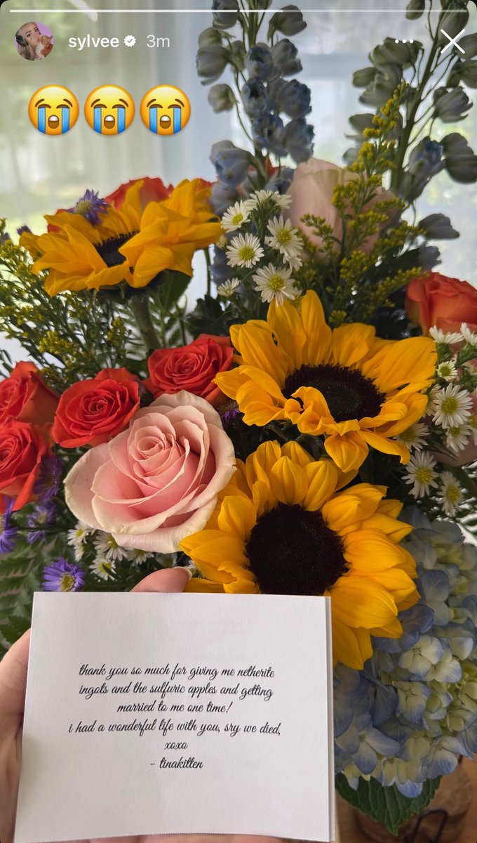 Sylvee_Updates's tweet photo. sylvee posted on her story!! 💐🥹 https://t.co/x9lrfLyp8L