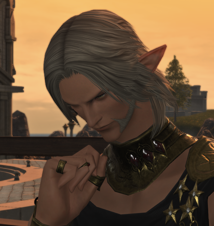 sickducking's tweet photo. i just know thancred gets cuteness aggression every time urianger starts thinking hard enough to hit this pose https://t.co/fgVkLzbSps