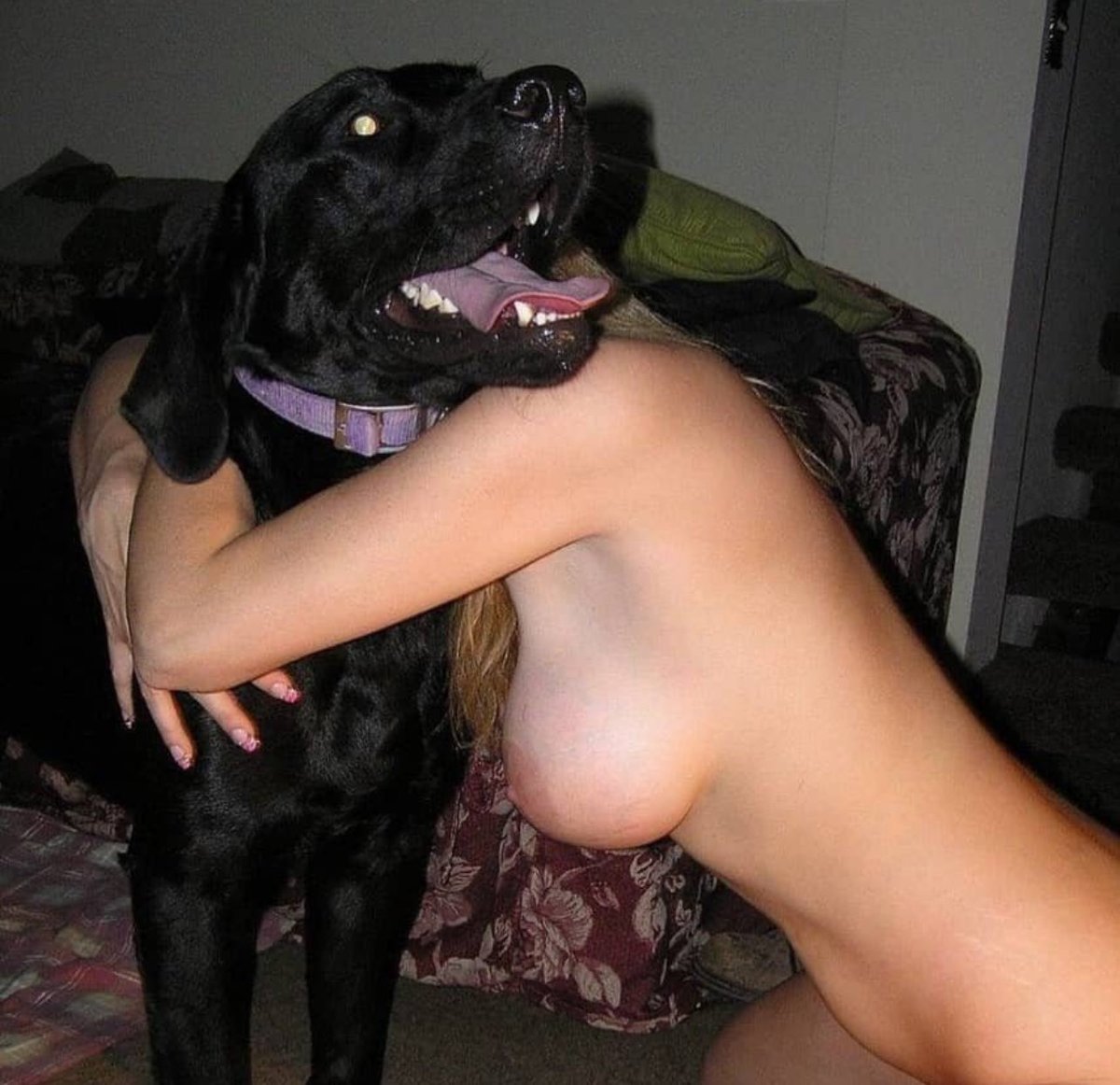 clara_rose36053's tweet photo. I let my dog 🐶 🐾😍goes deep inside me on👇⬇️ premium content menu
https://t.co/hS0hpQwBpN
Zangi 1458889806
#zoophillia #zoosarevalid #beastiality
#dogknot #zooprideisvalid #zoophile
#antizoo #antizoophileantizoo #k9girl #zoopride
#zoophilepride #zoopositivity
#Bestiality
#Usa https://t.co/IIMaIPN5Ln