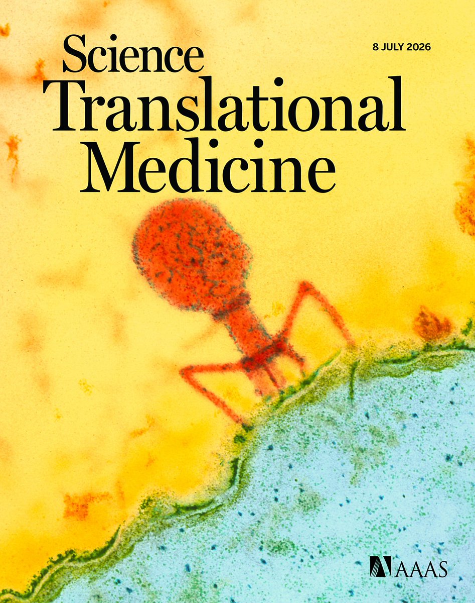 A new study demonstrates how kidney-infiltrating T cells may