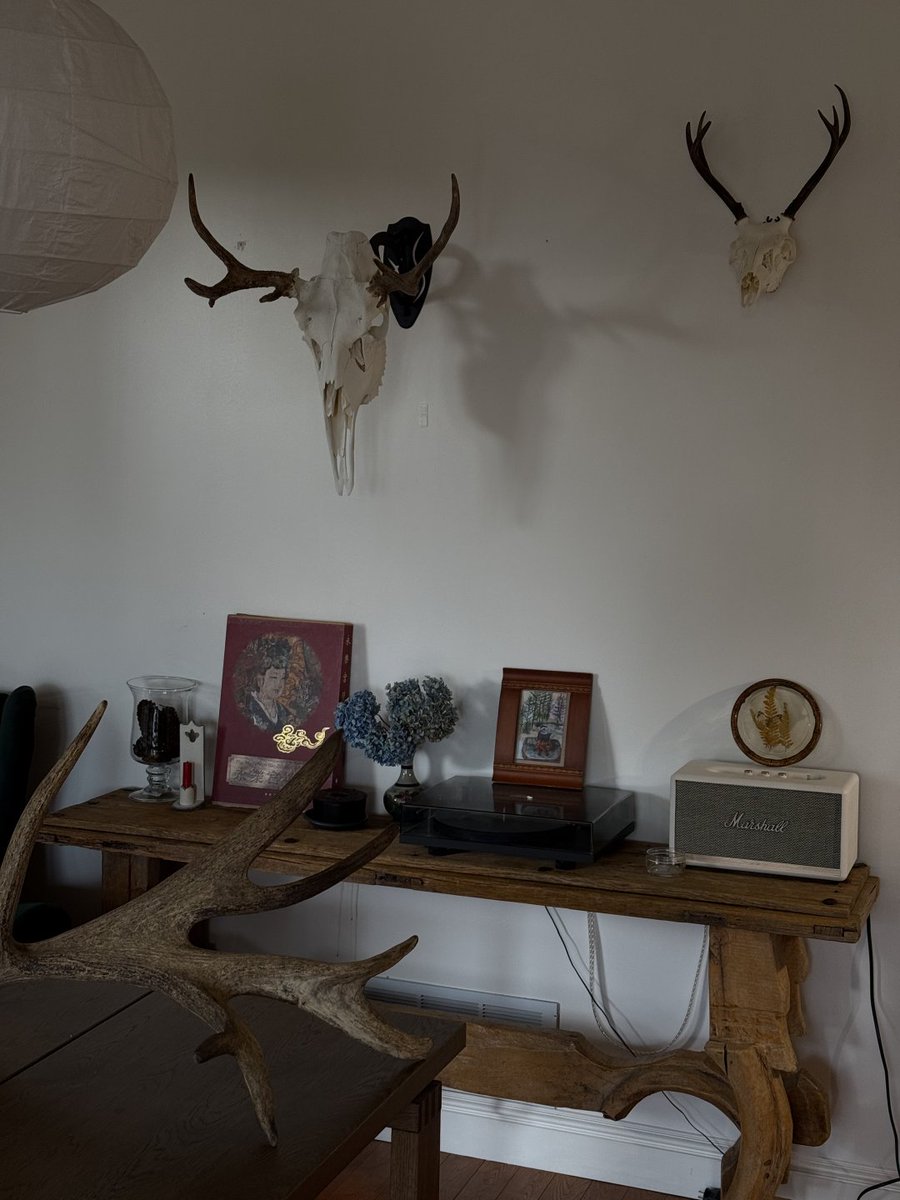 Shukoorals's tweet photo. My friend's collection of deer antlers is really cool https://t.co/qSfmYk0v2o