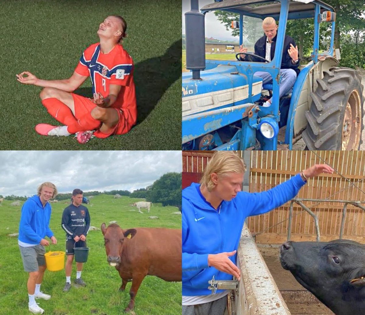 benjimk's tweet photo. 🚜🇳🇴 Erling Haaland voit déjà son avenir loin des terrains.

« Être dans une ferme��� conduire un tracteur, nourrir mes vaches, c’est le rêve », confie la star norvégienne, qui espère devenir agriculteur après sa retraite. 🌾🐄

Et vous? https://t.co/CUqfHJW9u6