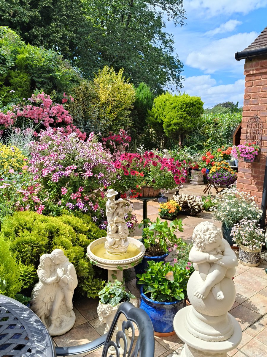 flanaghan_david's tweet photo. A few pics of my garden. https://t.co/yZpTfhr9Ji