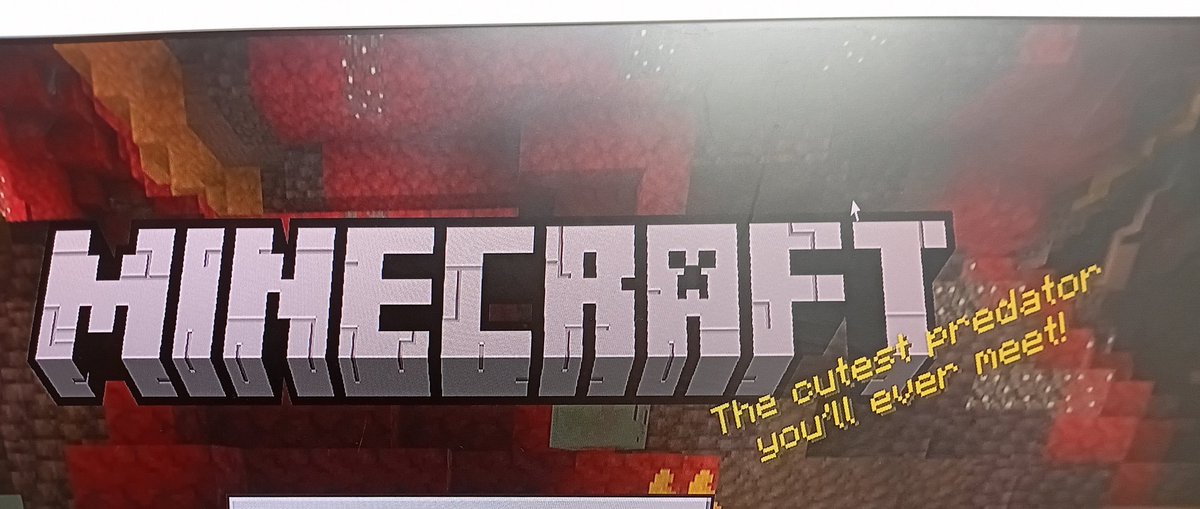 rbahiaofc's tweet photo. what the fuck is this even supposed to mean ????? @Minecraft https://t.co/yFelHpp36O