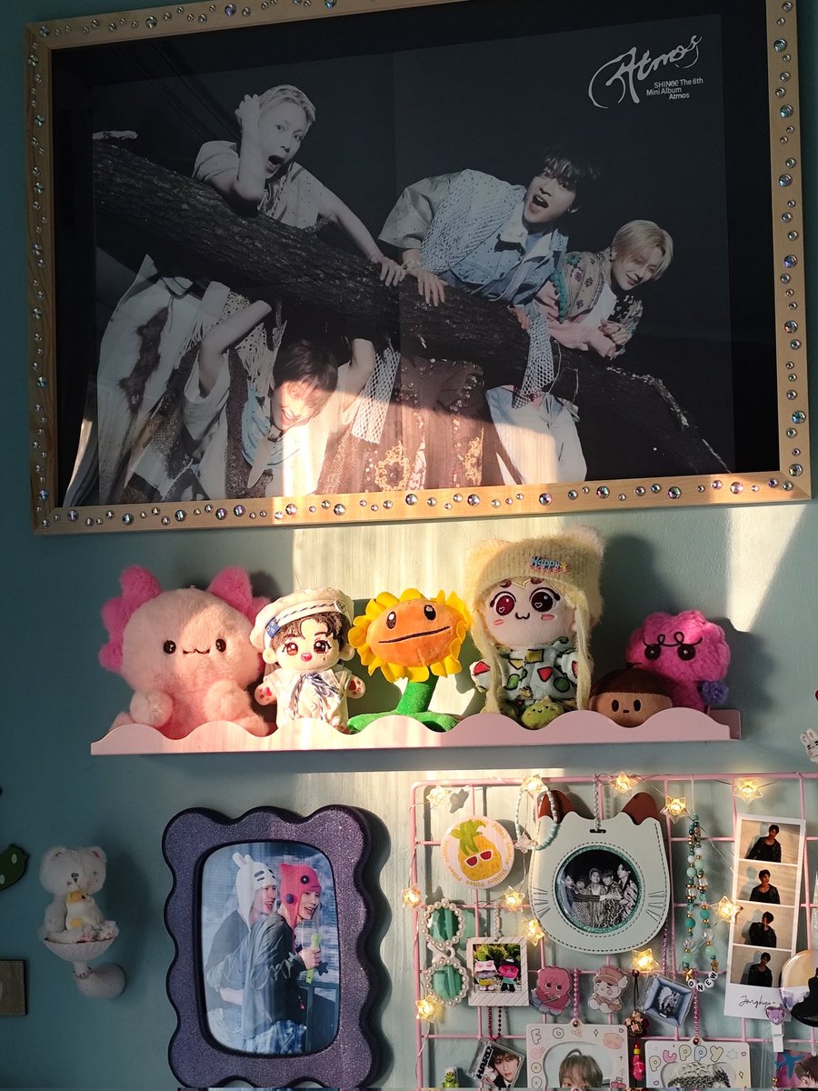 hysieme's tweet photo. jinki so desperate to be in the sunny spot 🤣🤣 https://t.co/YcCqIvkEnM