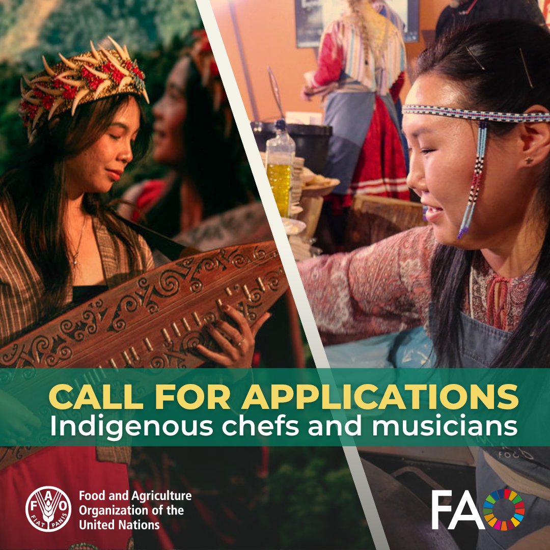 FAOKnowledge's tweet photo. Are you an Indigenous chef or musician? You can contribute to a transformative event in a unique location!

Share your work at the Global Hub on #IndigenousPeoples’ Food &amp; Knowledge Systems meeting at @FAO this October.

Apply by 15 July! https://t.co/VFKtsHVRJN https://t.co/FQ9fKR2qDk