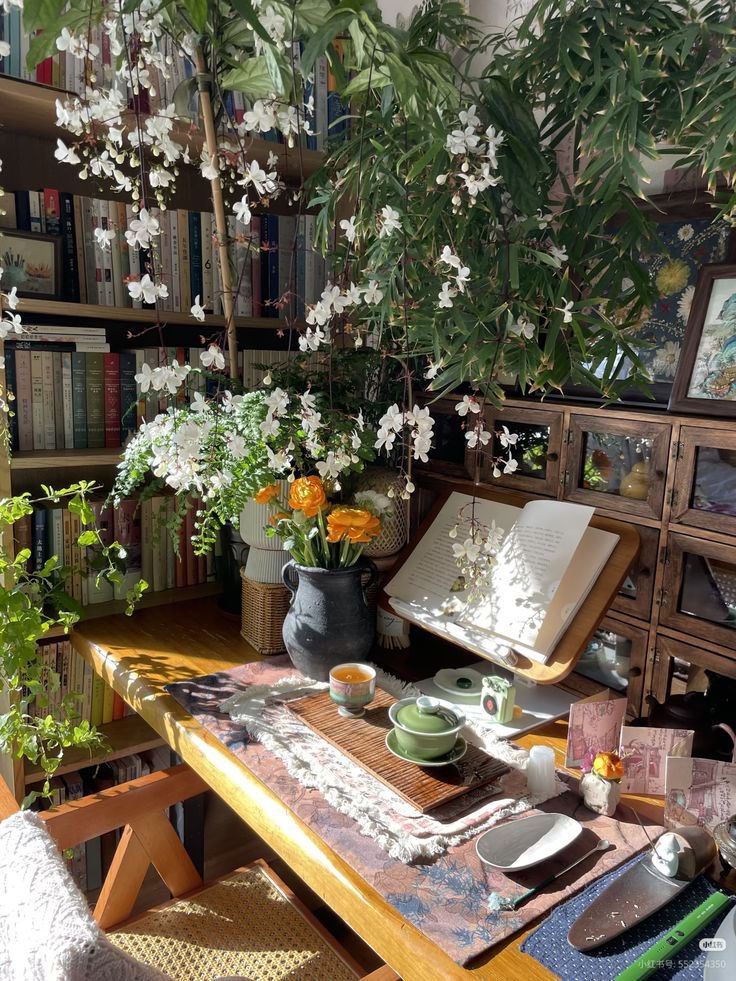 Pure_naturess's tweet photo. i will experience a quiet life https://t.co/3r7ViCqqdW