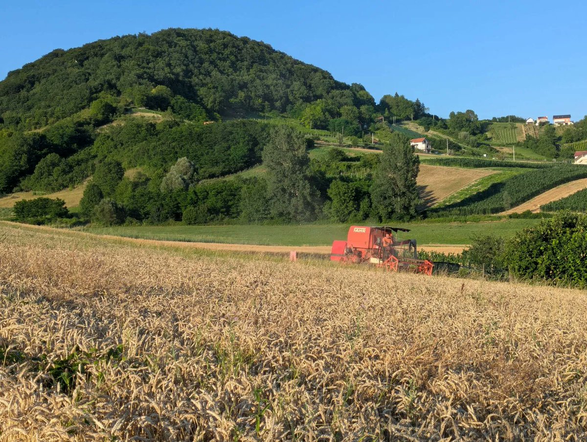 Farmwave tweet media