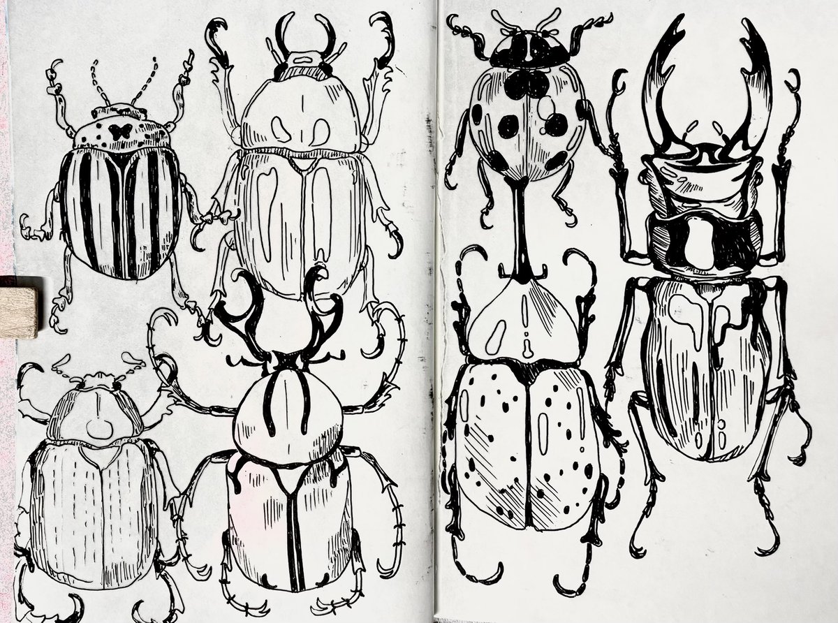 Rhelaza's tweet photo. bug doodles 🪲 #art #sketchbook https://t.co/jyfzEGc6M7