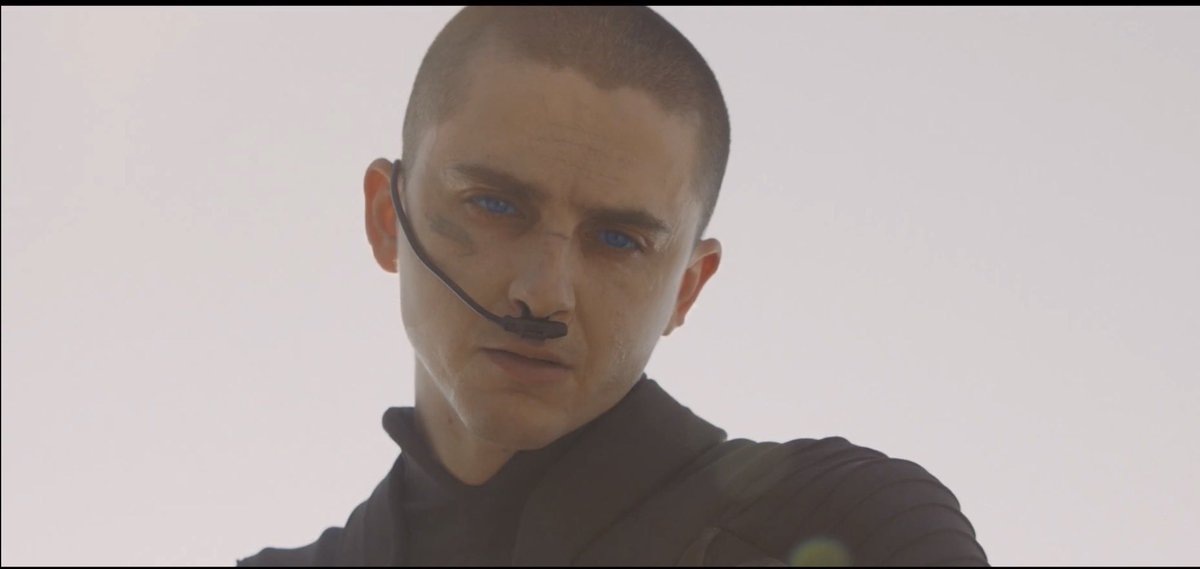 wickskiller's tweet photo. BALD PAUL ATREIDES https://t.co/uPaACMq17o
