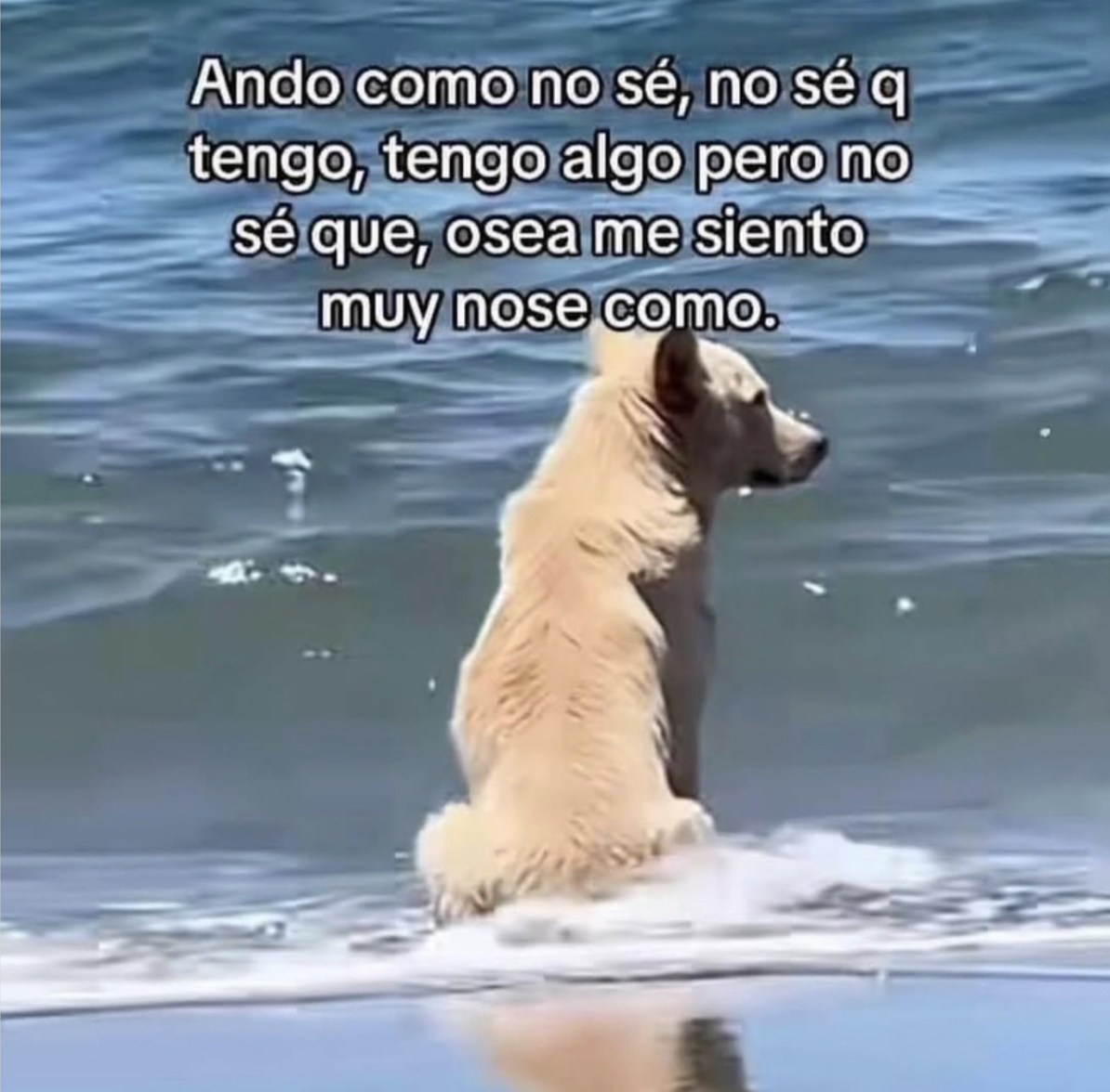 Guarromantico_'s tweet photo. No sé. https://t.co/2CfbSNeg6w