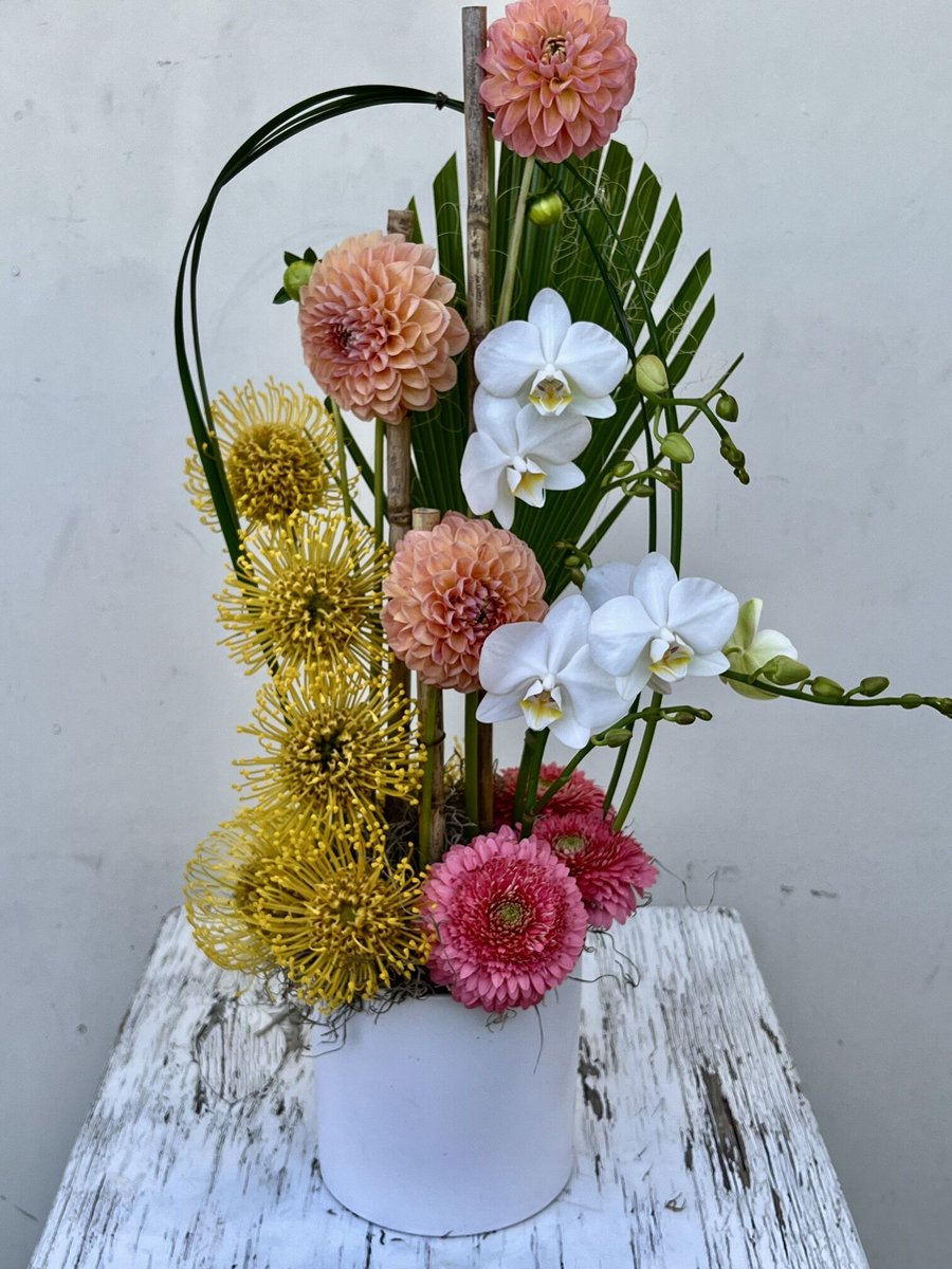 MyLittleFlowerS's tweet photo. Height, structure, and texture — today's arrangement is an architectural masterpiece. 🌿
#PalmSpringsFlorist #ModernFlorals #ProteaDesign https://t.co/26JgWpzndu