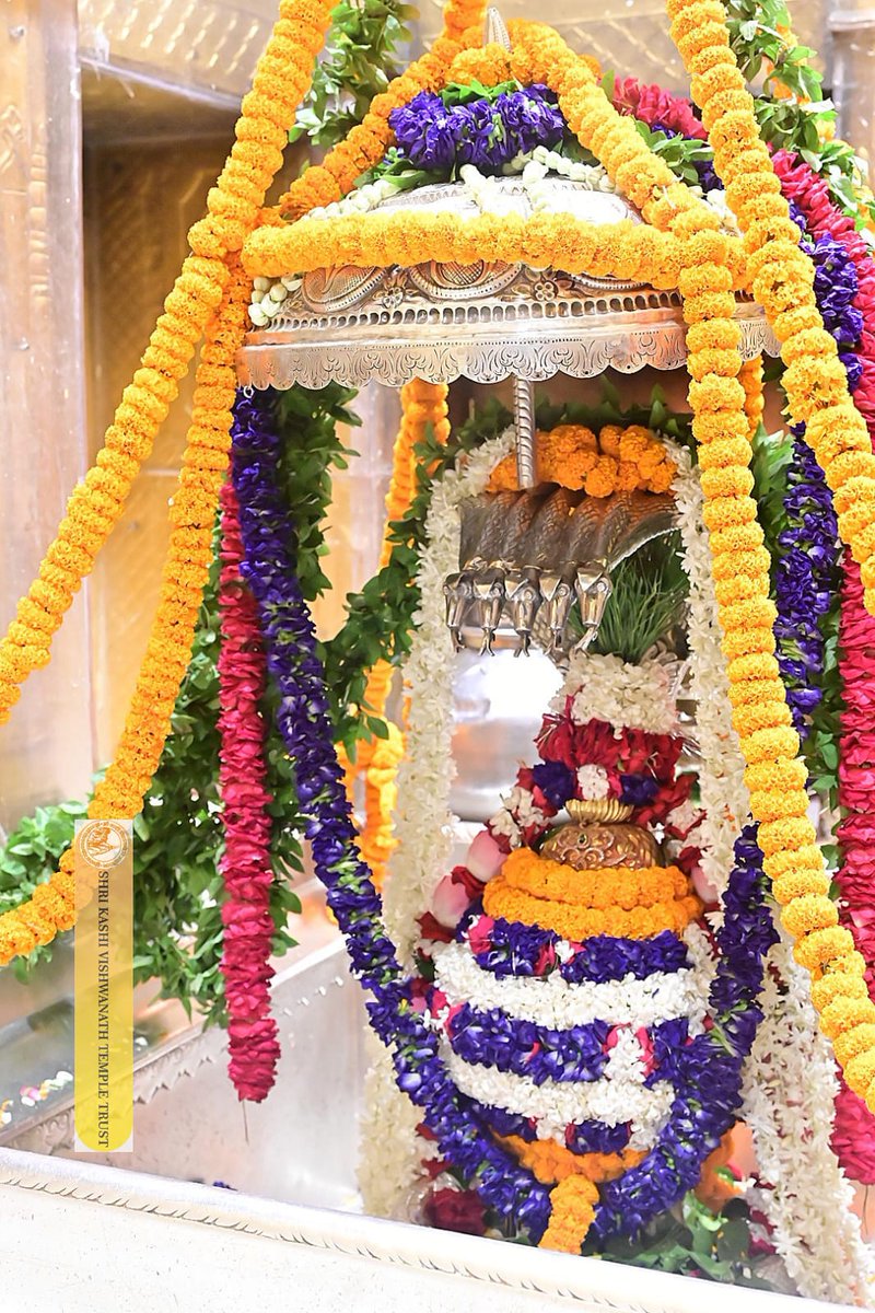 ShriVishwanath's tweet photo. श्री काशी विश्वनाथ जी की शयन आरती I
#kashivishwanath #kashi #hindu #sanatandharmaसनातन https://t.co/Kqw2TeXrFp