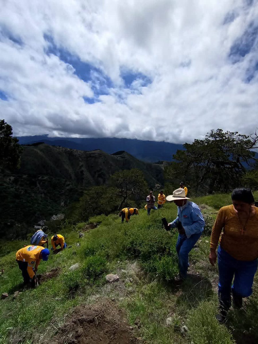 RosendoAnaya's tweet photo. Al terminar la jornada de reforestación en Agua Fría, Peñamiller, el mejor premio se esperaba junto al fuego: unos tamalitos calentados en las brasas. #AquíContigo https://t.co/XvAAGAc9o8