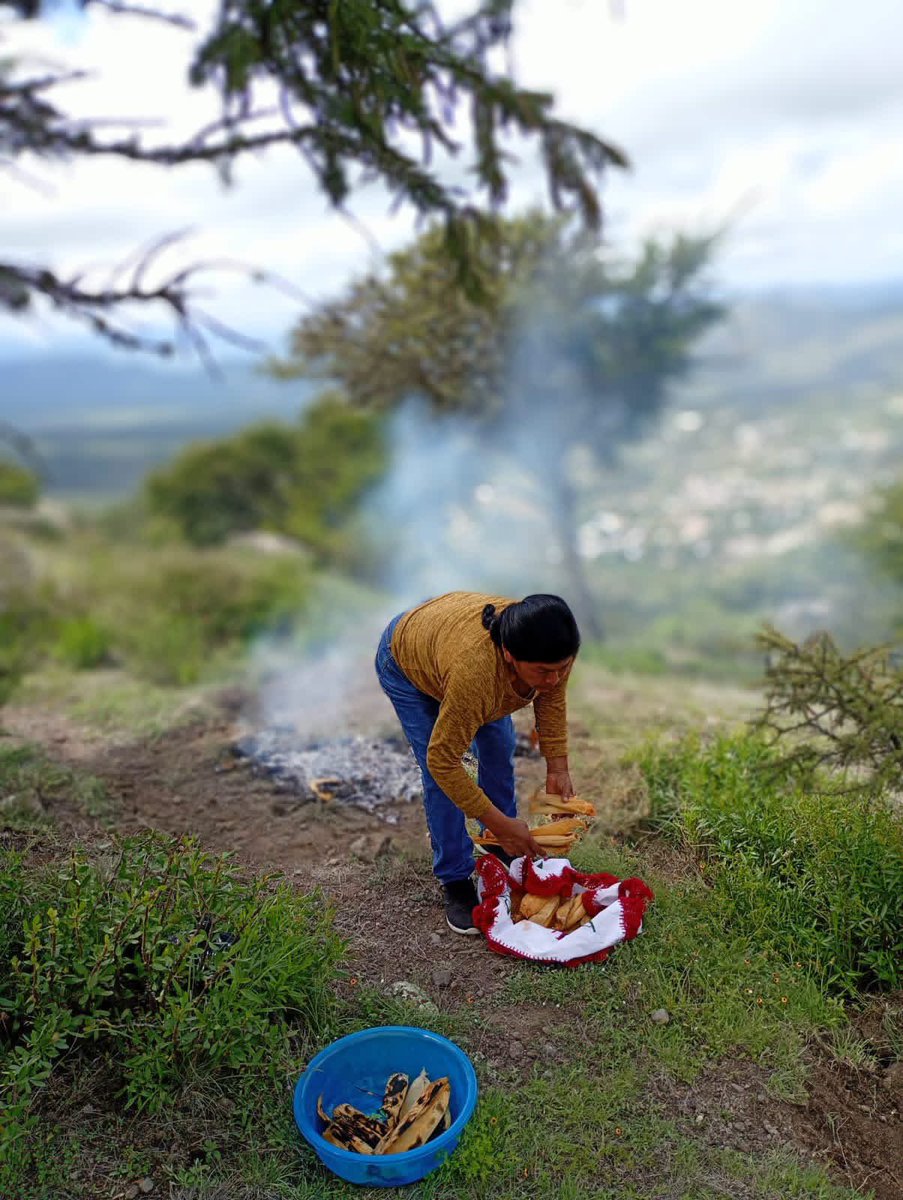 RosendoAnaya's tweet photo. Al terminar la jornada de reforestación en Agua Fría, Peñamiller, el mejor premio se esperaba junto al fuego: unos tamalitos calentados en las brasas. #AquíContigo https://t.co/XvAAGAc9o8