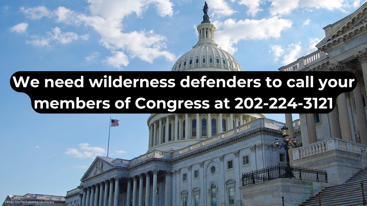 WildernessWatch's tweet photo. Wilderness Watch heads to D.C. next week.

You can help us defend Wilderness by calling your members of Congress to tell them about the value of Wilderness so when Wilderness Watch shows up on Capitol Hill next week, they take note.

Call script >>> https://t.co/GwW9sMYDuz https://t.co/kzgJ0dwOVk