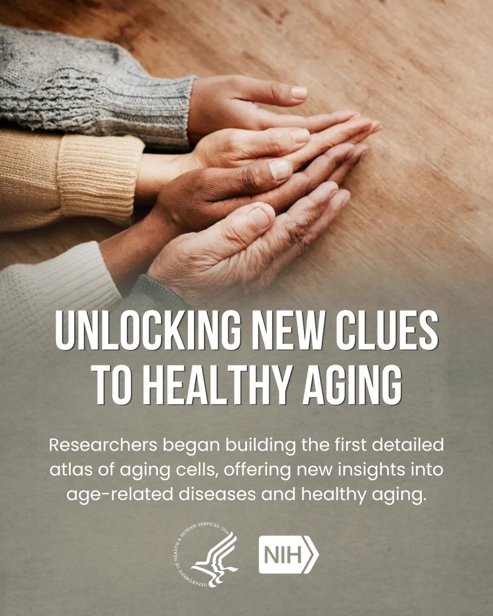 Two pairs of hands gently resting on a surface. Text on the image reads: "Unlocking New Clues to Healthy Aging. Researchers began building the first detailed atlas of aging cells, offering new insights into age-related diseases and healthy aging." Logos for the U.S. Department of Health and Human Services and NIH are visible.