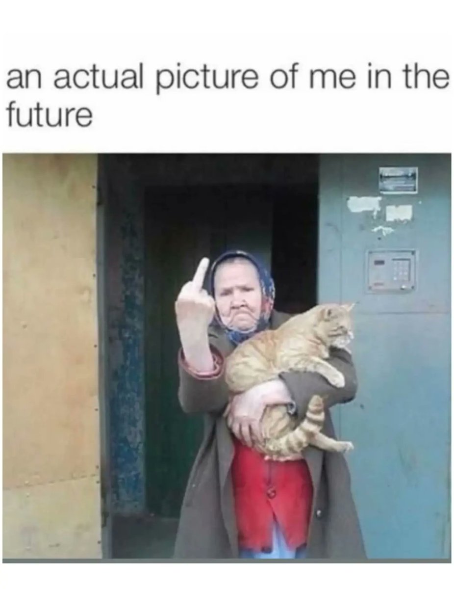 CatCurioOnline's tweet photo. When my boss ask me: "how do you see yourself in 5 years?" I will show nim this photo ☺

#catmemes #futurecatparents #catlovers❤️ #CatsOfX  #kitten https://t.co/LshmPPqMqJ