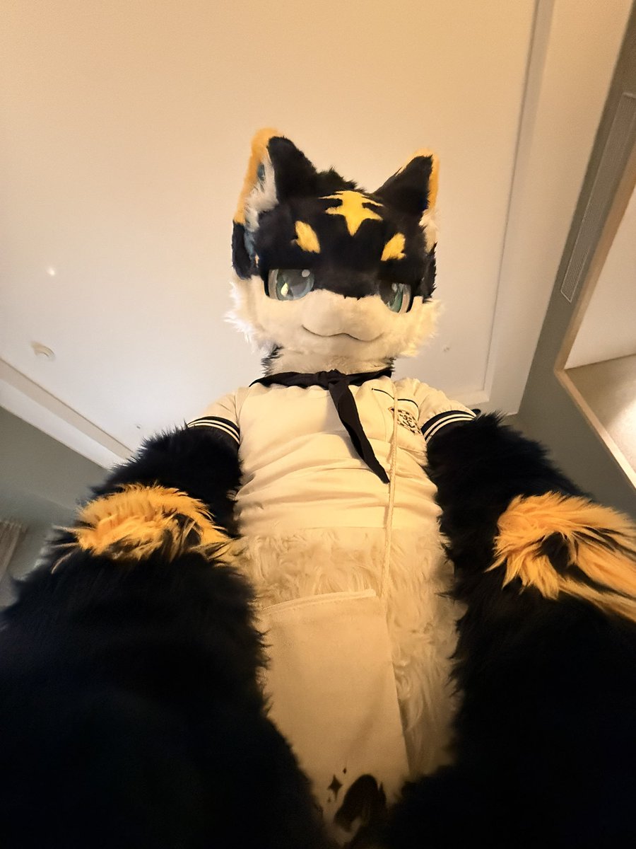 asterdragon_'s tweet photo. 大家好～這裡是Aster
也可以叫我归星！
来自星火工坊
請多多指教 ✨

📸: @.furamifurami, @.tigersil37, @.Randaeyote 

#fursuit #starfire https://t.co/ytnqnkVGRT