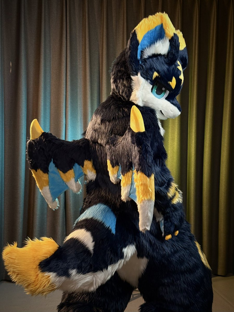 asterdragon_'s tweet photo. 大家好～這裡是Aster
也可以叫我归星！
来自星火工坊
請多多指教 ✨

📸: @.furamifurami, @.tigersil37, @.Randaeyote 

#fursuit #starfire https://t.co/ytnqnkVGRT
