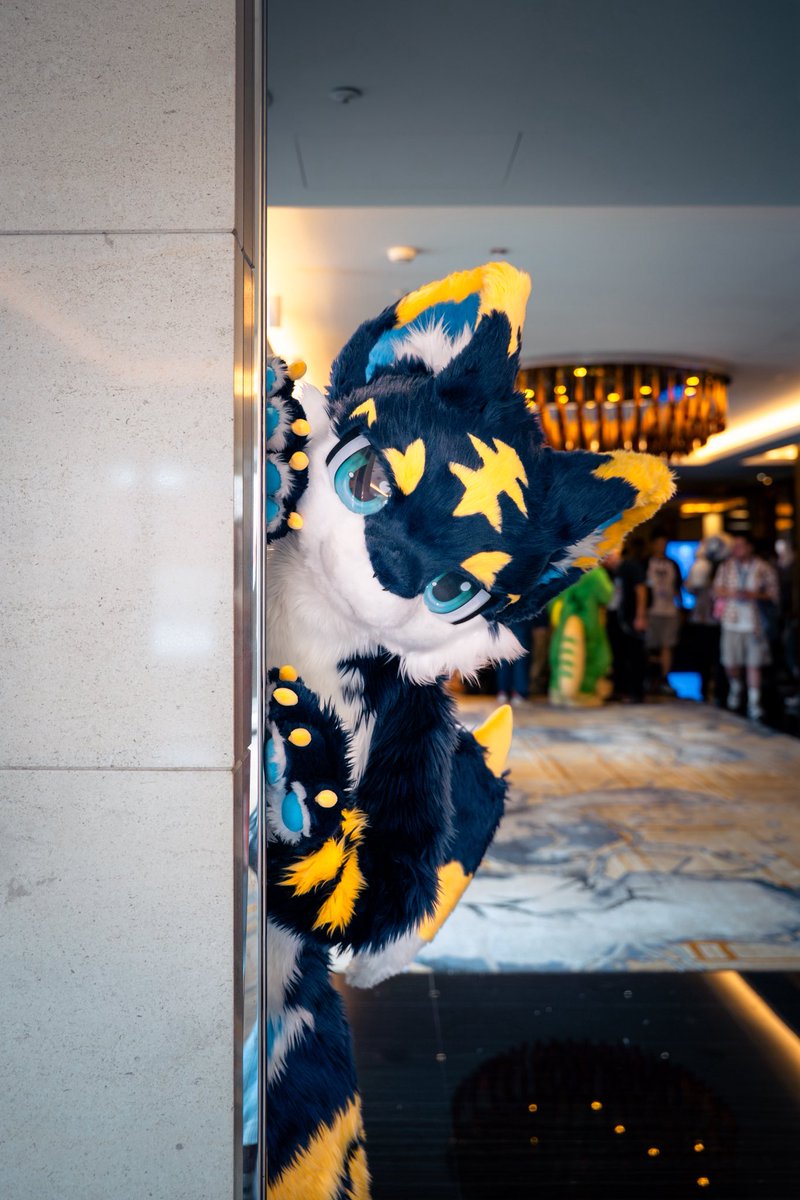 asterdragon_'s tweet photo. 大家好～這裡是Aster
也可以叫我归星！
来自星火工坊
請多多指教 ✨

📸: @.furamifurami, @.tigersil37, @.Randaeyote 

#fursuit #starfire https://t.co/ytnqnkVGRT