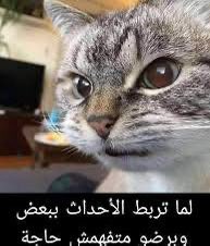 lMui__'s tweet photo. اكثر منتخب متوقع له الفوز بكاس العالم هو منتخب فرنسا 
والطاقم التحكيمي في مباراة فرنسا والمغرب أرجنتيني بالكامل https://t.co/lp6qo2kkvj