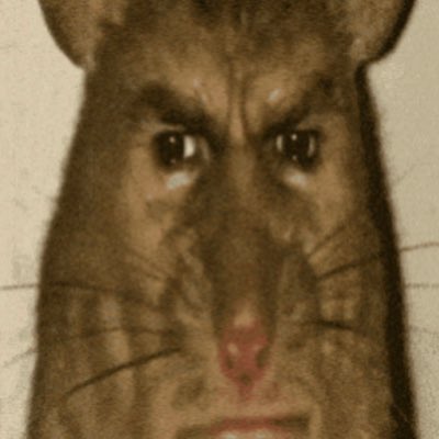 acroyearii's tweet photo. #NewProfilePic https://t.co/kkHHX3n9gR