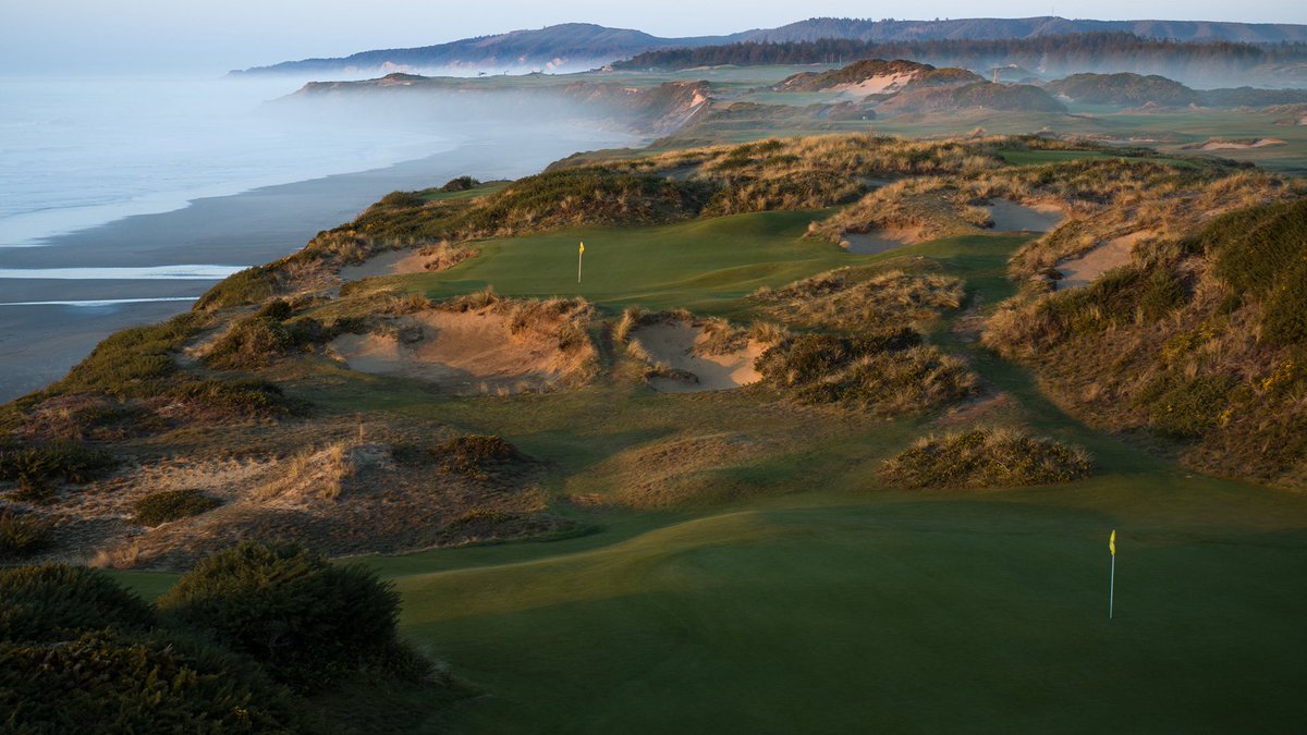 NUCLR GOLF tweet media