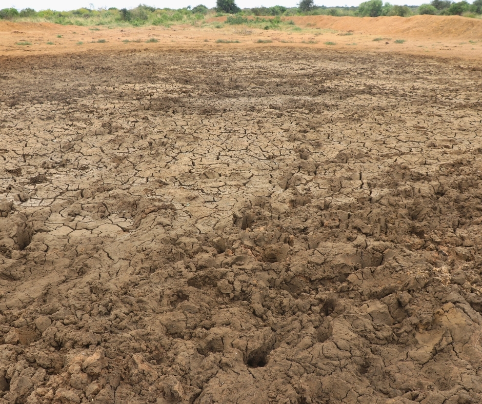survivalanimal's tweet photo. 🇰🇪💦 The situation for wild animals in drought-ravaged Tsavo West National Park is heartbreaking 🐘🦏

We are raising funds to drill a life-saving waterhole that will hydrate 1000's of animals struggling through lingering drought.

🔗 Please donate today: https://t.co/m43Me5GwWO. https://t.co/1CXKC9PSS9