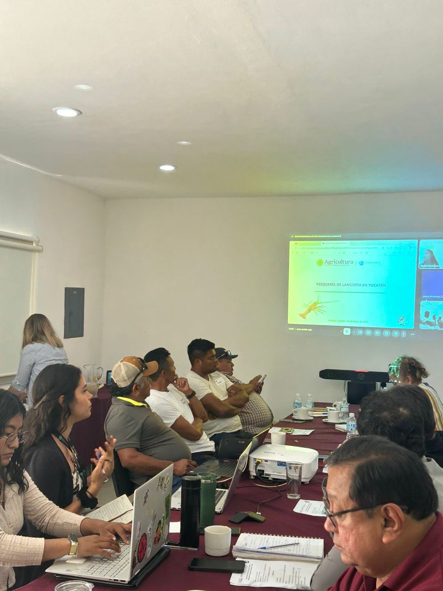 Conapesca's tweet photo. Representante de Conapesca en el estado de Yucatán participó en la instalación del comité para el manejo y ordenamiento de la pesquería de langosta en Yucatán, junto con autoridades de gobierno e integrantes del sector pesquero. https://t.co/CBHvYTtih3