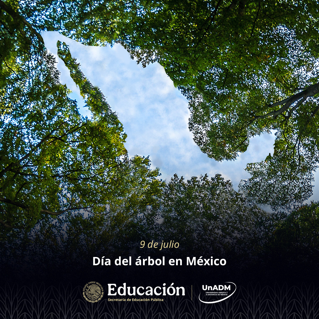 UnADM_Mx's tweet photo. ¡Hoy es el #DíaDelÁrbolEnMéxico!🌲
Cuidar de nuestros bosques y áreas verdes es tarea de todos los días. ¡Riega, planta y protege! 💚

​Conoce más sobre la importancia de nuestros árboles en el sitio oficial de la CONANP: https://t.co/x03TRSZ0wz
​
#UnADM @IVANONLINEMX @lkravzov https://t.co/34oCg6JG3T