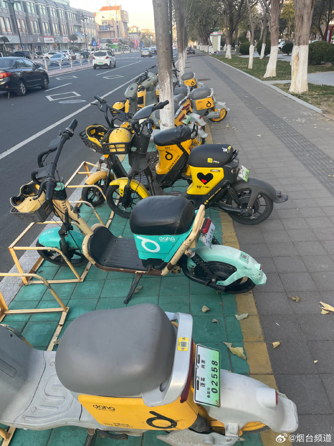 lazydent83's tweet photo. Join our weekend community park clean-up this Saturday at 9 AM! Gloves u0026 snacks provided – bring your neighbors for a greener space together!， https://t.co/kEIMGeTtIW