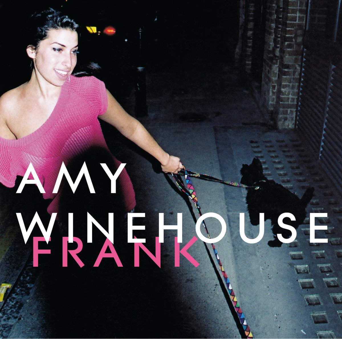 JudeSaurio's tweet photo. https://t.co/fIZseCuWui la canción de hoy, amy vinocasa y su álbum Franco https://t.co/JZrJ1CR08M