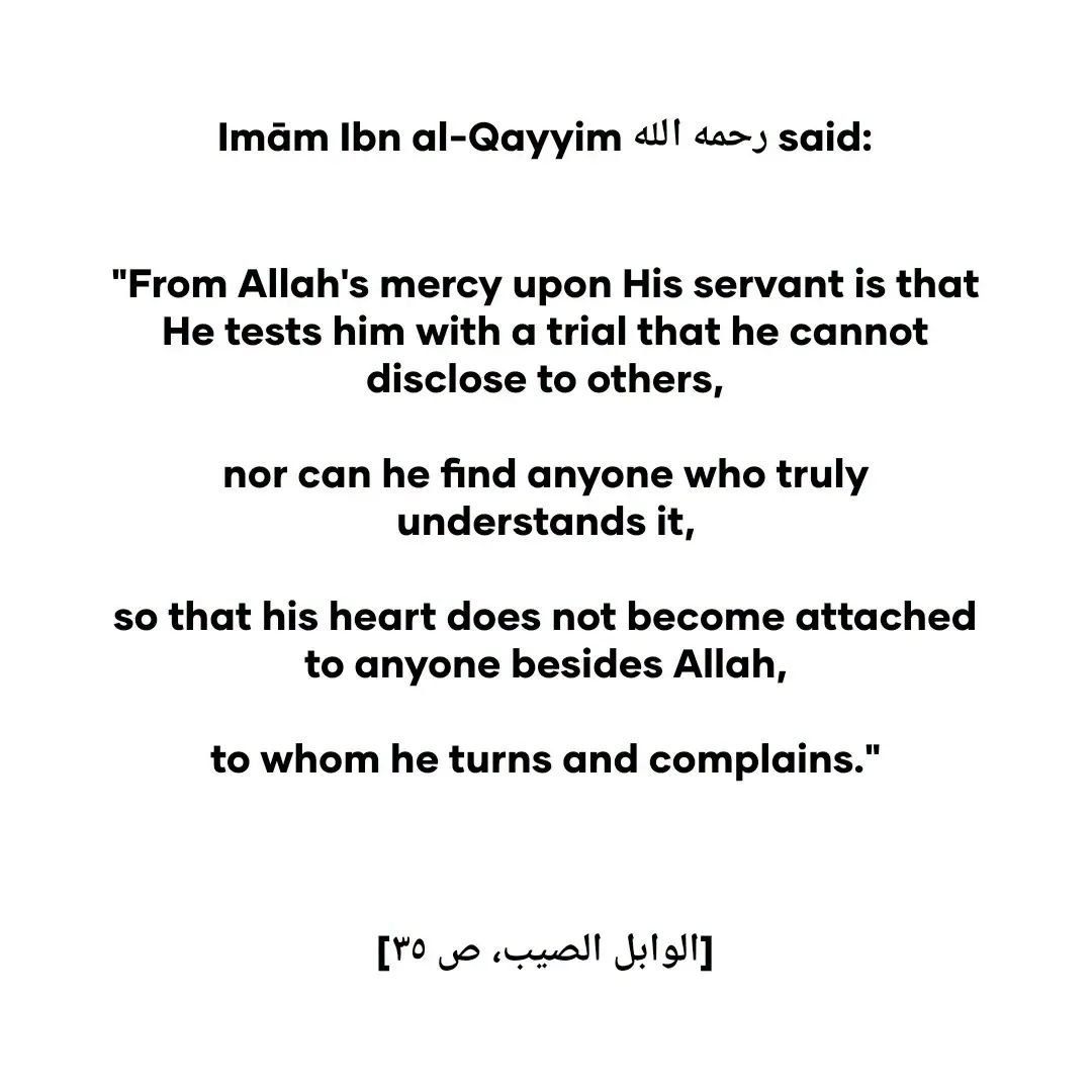 halal_pair's tweet photo. https://t.co/f4LnLszJlY
