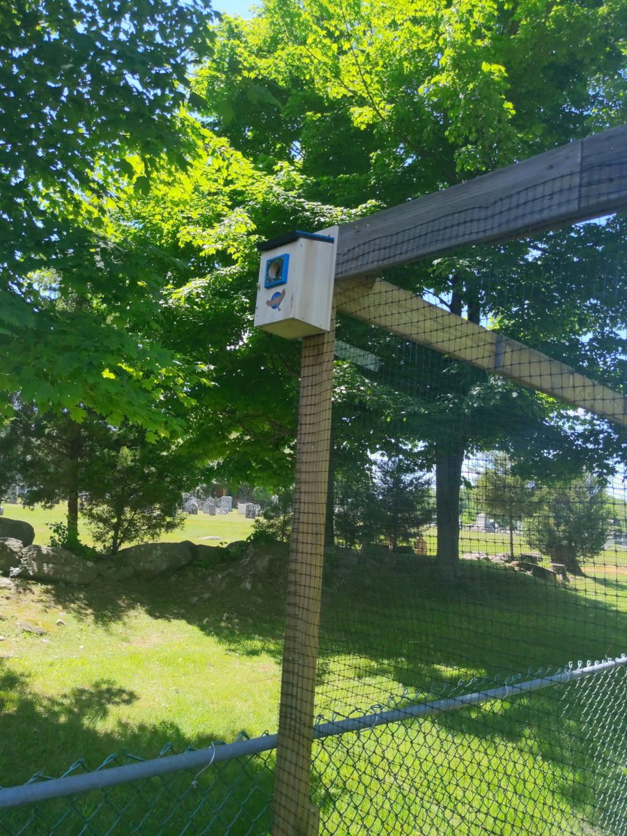 TheCapableCrew's tweet photo. Birds, despite the weather and circumstances, are always free to be themselves, just like our members! So, we built them a place for shelter at The Academy of Possibilities! ☺️ 🐦
#birds #birdhouses #specialneeds #buildingcommunity #DDDapproved https://t.co/LWTTfaPxYZ