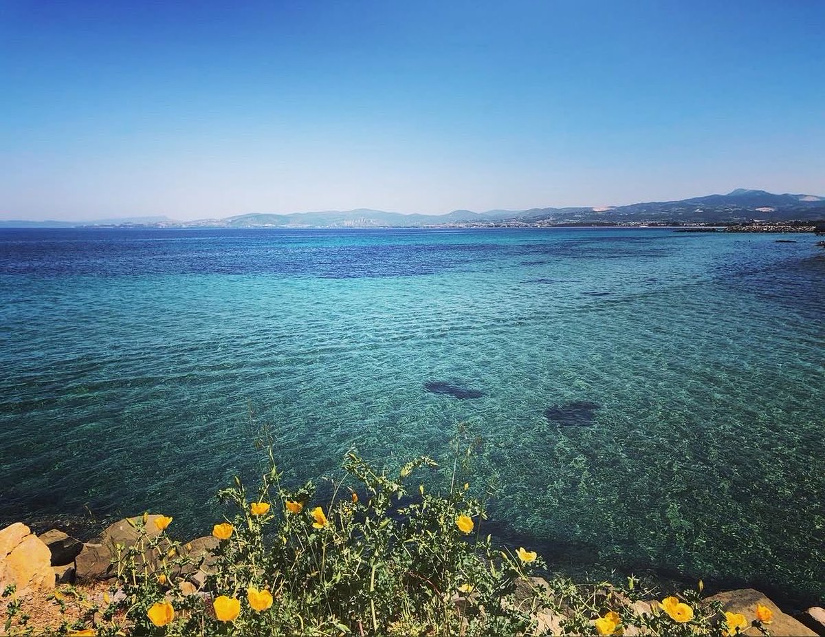goldendaisy03's tweet photo. "Denizde susuzluktan ölmek korkunçtur. Susuzluğunuzu bir daha gideremeyeceği kadar tuzlamak zorunda mısınız hakikatinizi?"
Nietzsche
#iyigeceler 

https://t.co/HN4D1Qh1fd https://t.co/TzaGwgvRWf