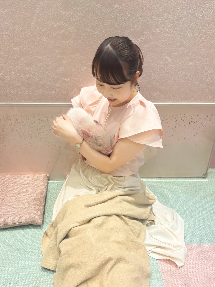 kumagaimiho131's tweet photo. おはようございます☀️

今日の行ってミホは特別に垣花さんと
『mipigcafe』へ！
マイクロブタさんたちに会いに行ってきました🐖♡
垣花さんのモテモテぶり、
写真から伝わりますか！？

オンエアでぜひ🥰📻
#垣花正ハッピー https://t.co/PjxyYBFVuH