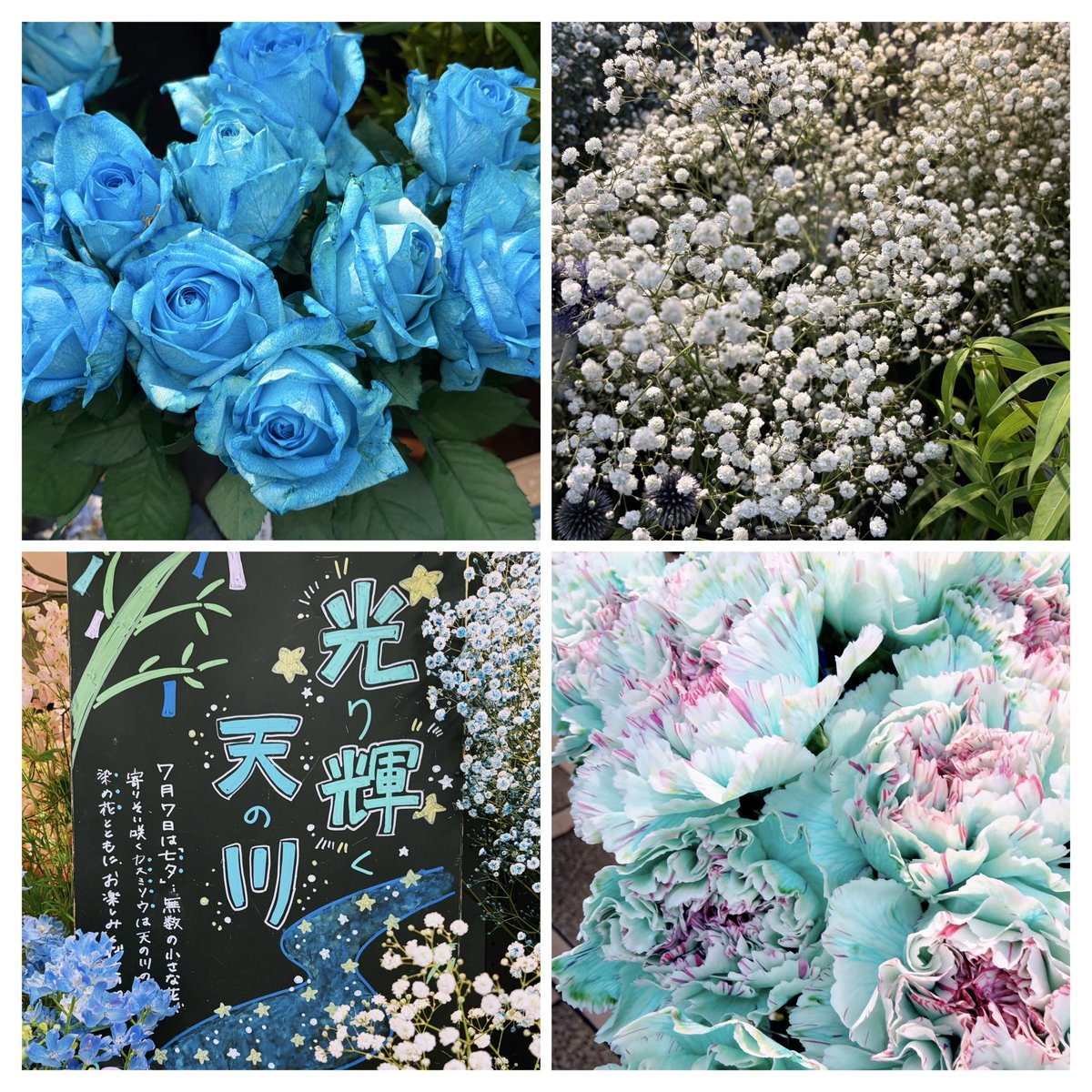 8Pi1iDxOEgHuatP's tweet photo. おはようございます🎵
7.9 #泣く日　だそうです
年と共に涙もろくはなりましたが泣くことは少なくなりましたねこらえることを学んできた？📷お花屋さん木曜日今日も笑顔で〜😃

泣かないわつくり笑顔でソーダ水
　令和8年7月9日
　　　AYAKO https://t.co/q2dLNyZZXB