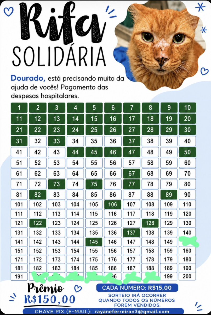 ajudeodourado's tweet photo. Não estou recebendo mais nenhuma ajuda, desde que o dourado partiu 😔 E eu preciso ainda pois além dos gatos comunitários precisarem, eu tenho 2 gatas q não foram testadas e nem vacinadas e eu estou mt preocupada! Pf, me ajudem a vender a rifa toda? 
🔑rayaneferreiran3@gmail.com https://t.co/1hrRbA4V0I