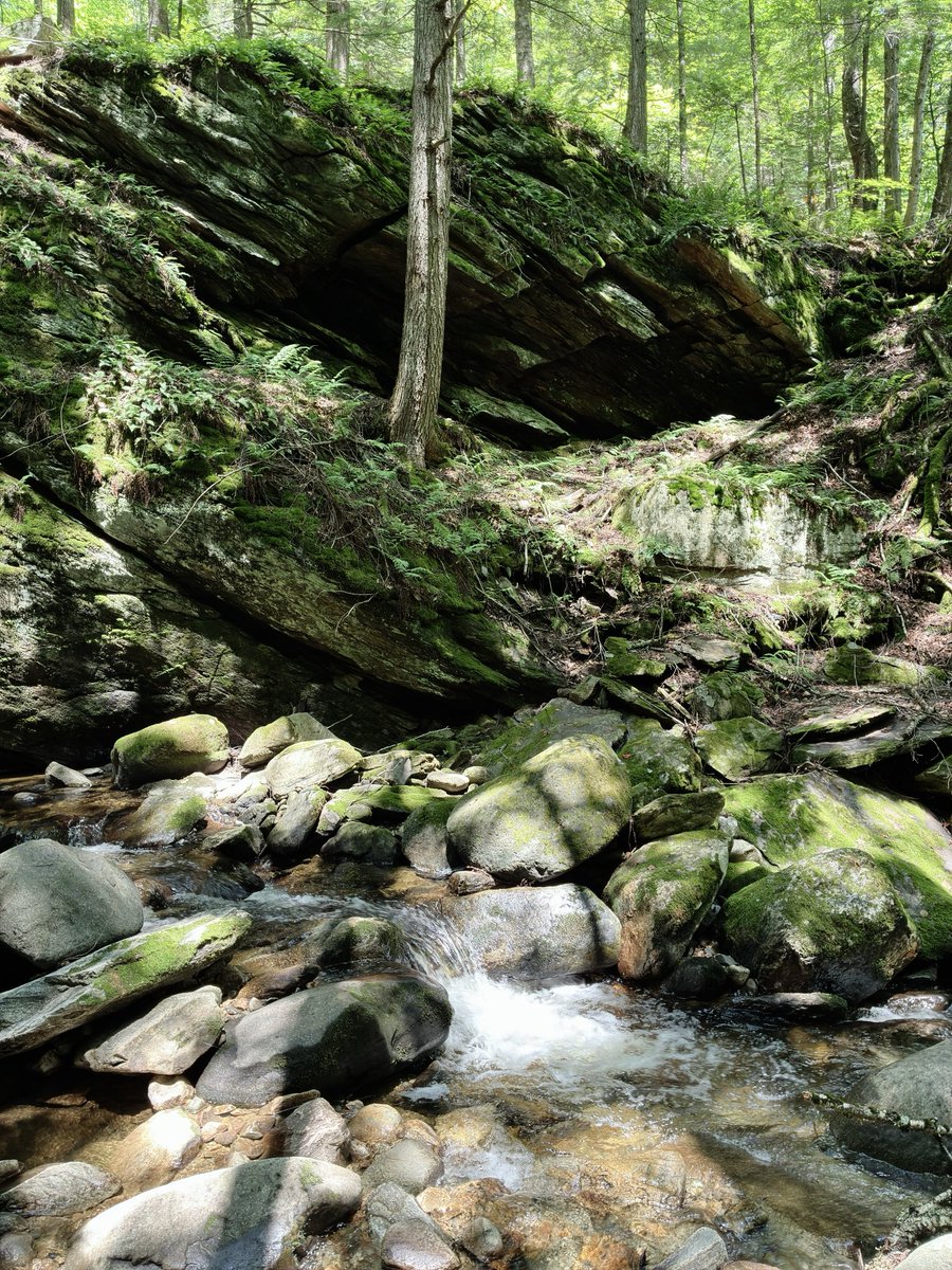 ACFMr's tweet photo. #Vermont https://t.co/kY4Lcnk0ZY