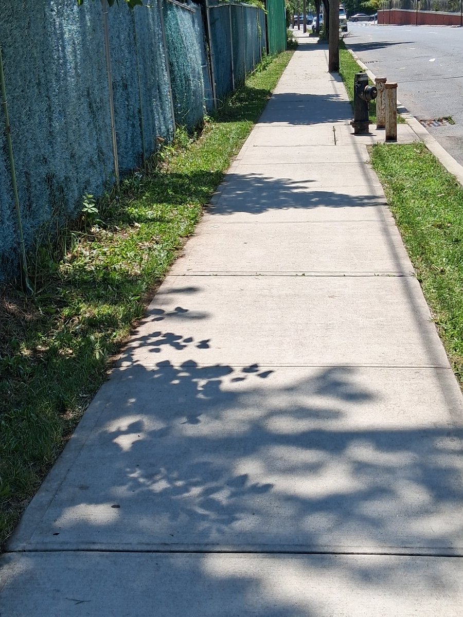 PortCivic's tweet photo. This Organization continues to keep its promise on trantor Place. Promises made-Promises Kept! Partnership with @NYC_DOT https://t.co/yglVP1oS0x