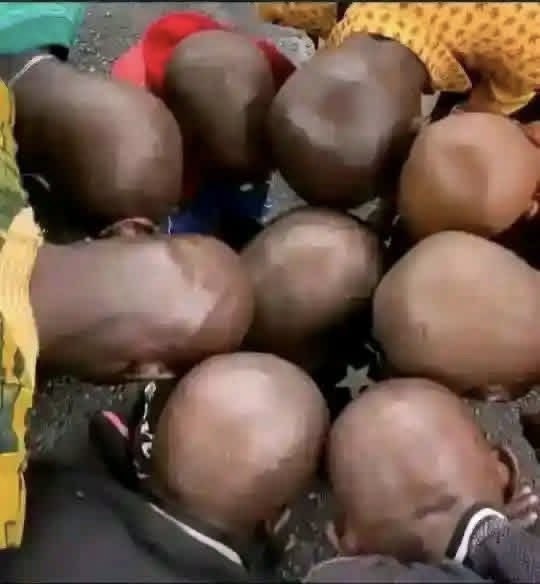 Itz_Chi_Oma's tweet photo. A group of head is called what? https://t.co/xRoGqWHhRN