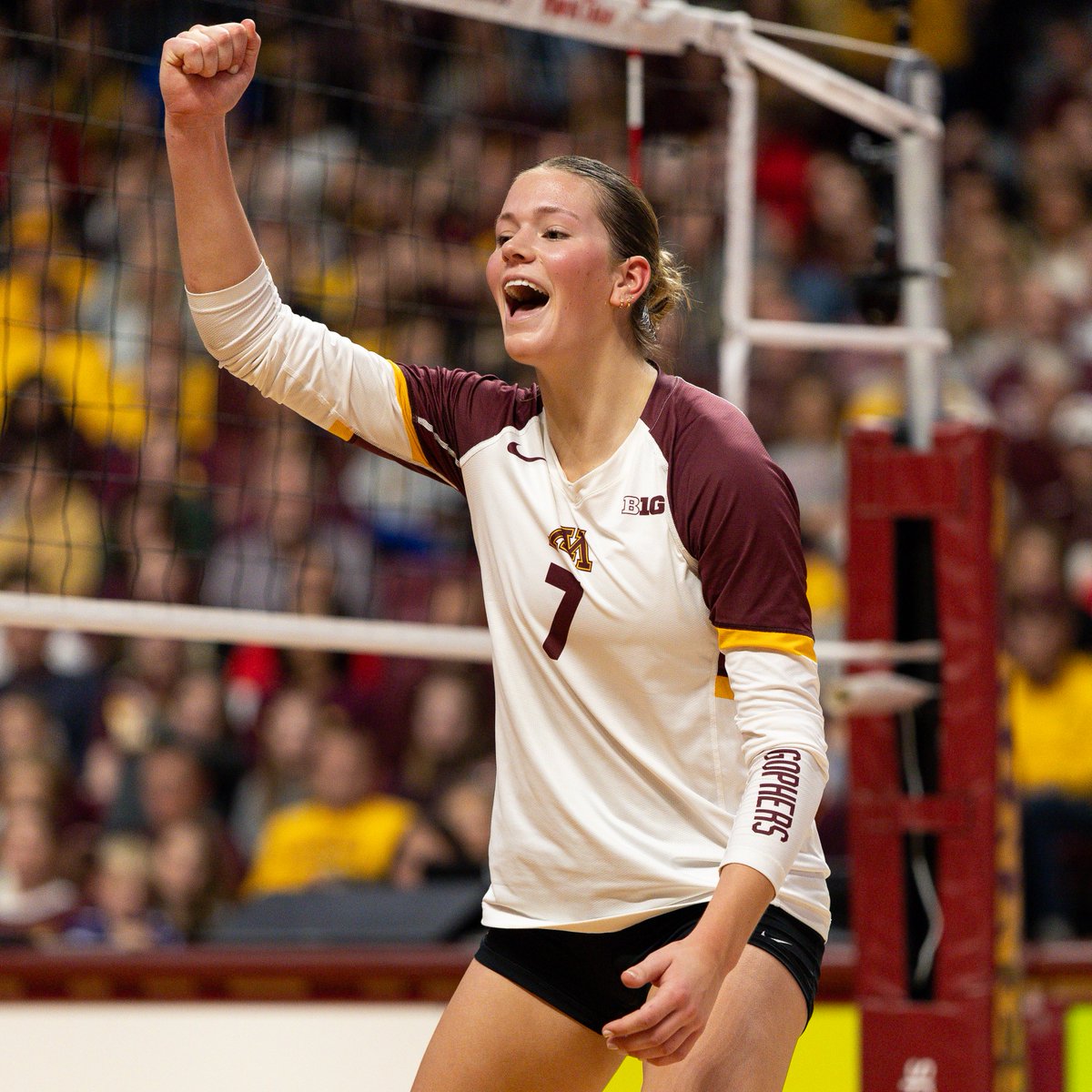 Minnesota Volleyball tweet media