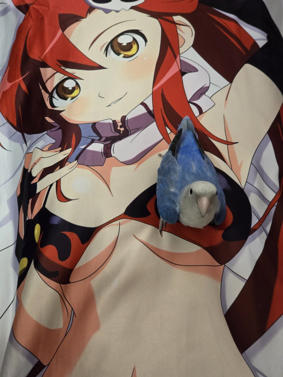 trasselvardias's tweet photo. Oomi birb likes underage anime tiddies https://t.co/WTke6G6NTk