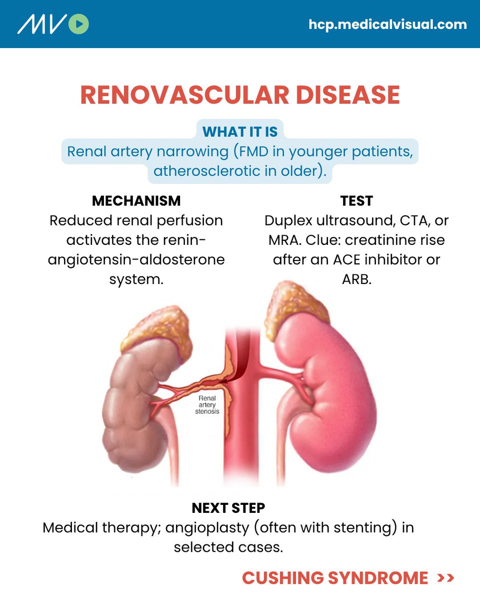 CardioVisual: Powered by MedicalVisual tweet media