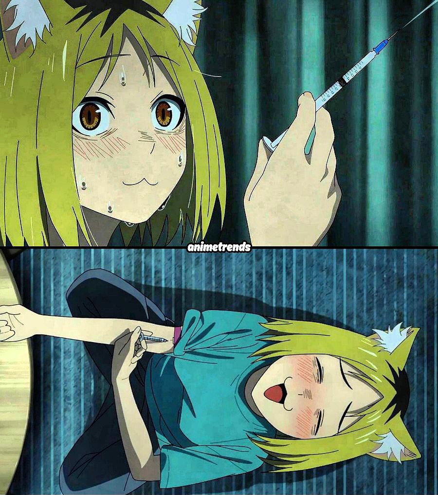 AnimetrendsLA's tweet photo. Finalmente aparece Yakuneko, la gatita adicta a la heroína en el anime de 'Chainsmoker Cat'. 🗿 https://t.co/eTS1pSXJlV
