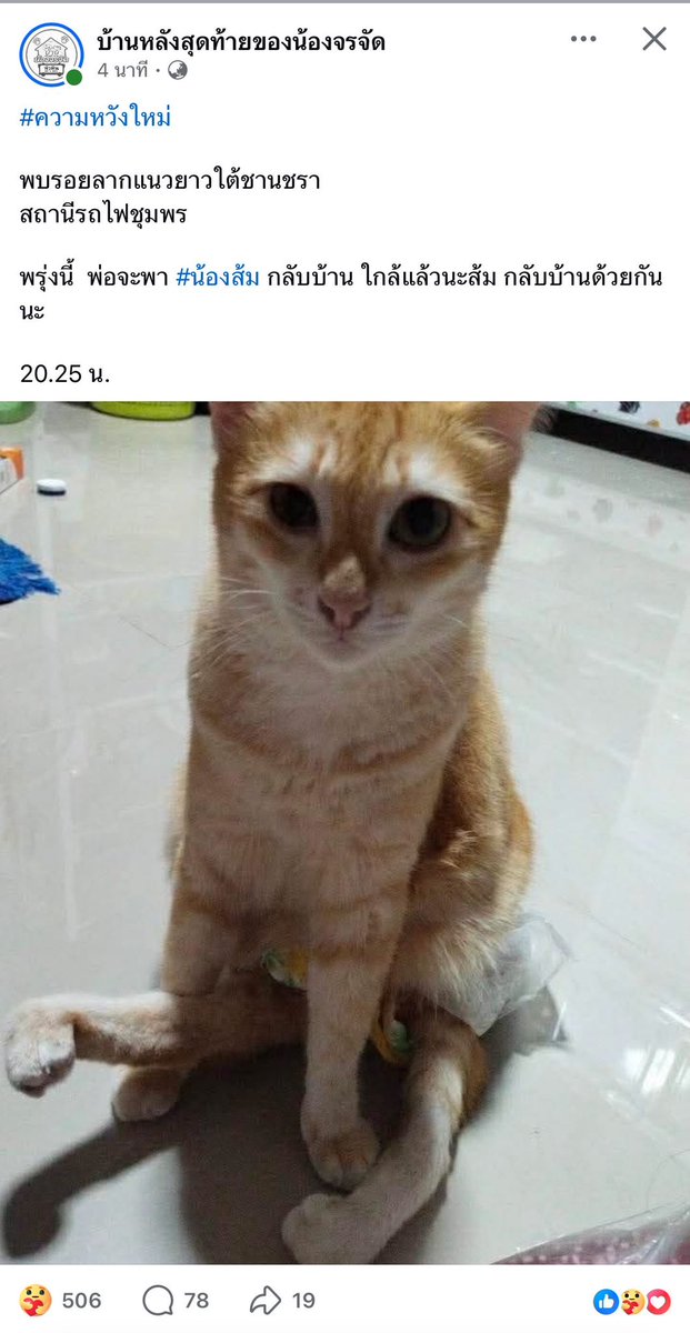 Giigiikawaii's tweet photo. ข่าวเรื่องแมวหายบนรถไฟนี่ เหมือนจะไม่ค่อยได้รับความสนใจเท่าข่าวผัวเมียมีชู้นอนกกกันเลย ทั้งๆที่ข่าวแมวหายมันมีส่วนเกี่ยวข้องทั้งความรับผิดชอบของทางกรฟ.ต่อการดูแลสัมภาระ หรือข้อสงสัยว่ามีคนเปิดกระเป๋าโยนน้องลงรถไฟอีก? ถ้าข่าวกระจายออกไปคงจะมีอาสาสมัครแถวนั้นมากขึ้น #แมวหายบนรถไฟ https://t.co/M9mEKuBkl3