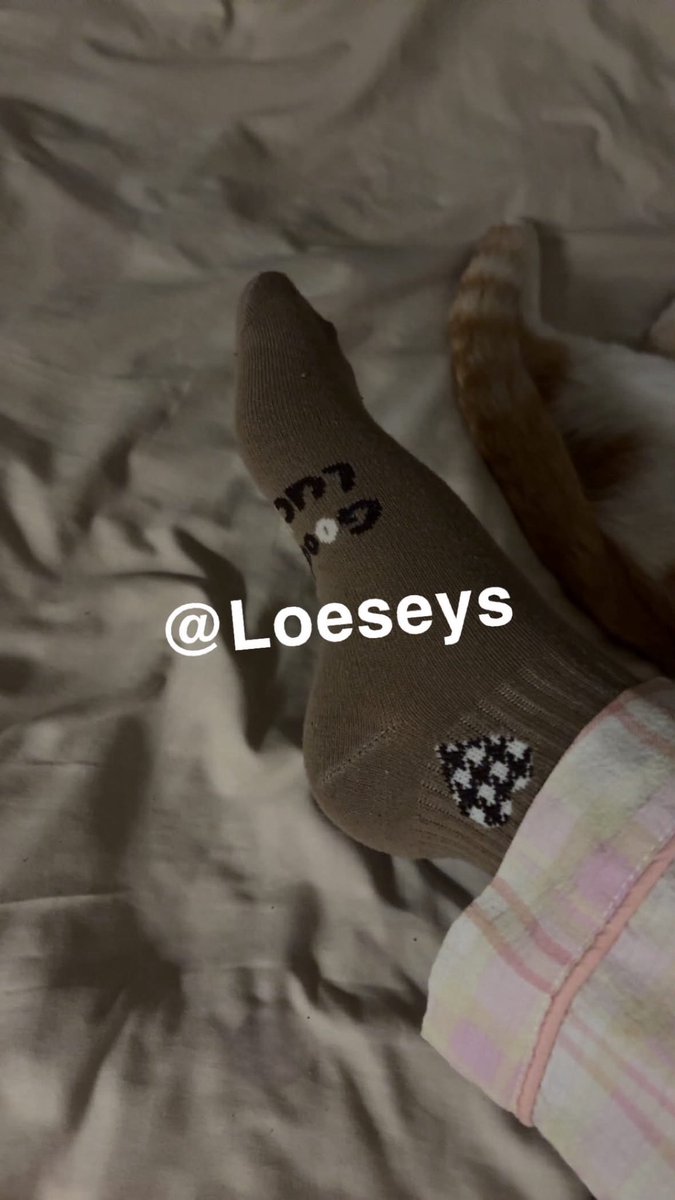 Loeseys's tweet photo. تبي تشمه مهاني ؟ https://t.co/agETgd72YU